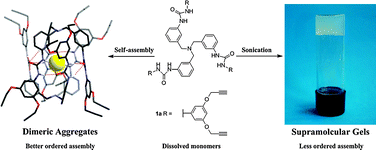 Graphical abstract: Sonication-induced self-assembly of flexible tris(ureidobenzyl)amine: from dimeric aggregates to supramolecular gels