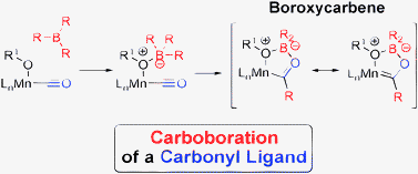 Graphical abstract: Intramolecular carboboration of carbonyl ligands to form boroxycarbenes