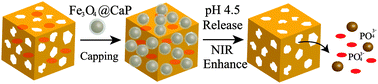 Graphical abstract: pH-responsive NIR enhanced drug release from gold nanocages possesses high potency against cancer cells