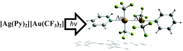 Graphical abstract: [(CF3)4Au2(C5H5N)2] – a new alkyl gold(ii) derivative with a very short Au–Au bond
