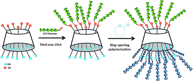 Graphical abstract: Cyclodextrin-centred star polymers synthesized via a combination of thiol-ene click and ring opening polymerization