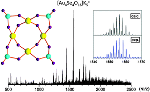 Graphical abstract: The selenite-capped polyoxo-4-aurate(iii), [AuIII4O4(SeIVO3)4]4−