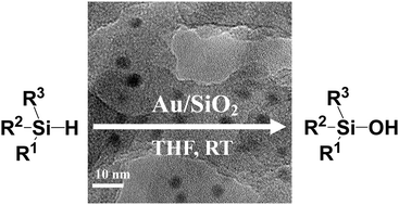Graphical abstract: Au/SiO2 as a highly active catalyst for the selective oxidation of silanes to silanols
