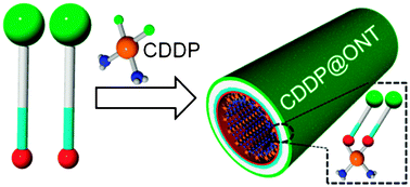 Graphical abstract: Cisplatin-encapsulated organic nanotubes by endo-complexation in the hollow cylinder