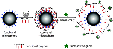 Graphical abstract: A supramolecular route towards core–shell polymeric microspheres in water via cucurbit[8]uril complexation