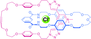 Graphical abstract: A catenane host system containing integrated triazole C–H hydrogen bond donors for anion recognition