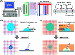 Graphical abstract: Electrochemical detection for dynamic analyses of a redox component in droplets using a local redox cycling-based electrochemical (LRC-EC) chip device