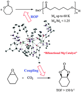 Graphical abstract: Trimetallic magnesium complexes bearing amine-bis(benzotriazole phenolate) derivatives as bifunctional catalysts for ring-opening polymerization and CO2/epoxide coupling