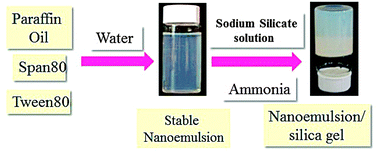 Graphical abstract: Nanocrystalline iron oxide synthesised within Hierarchical Porous Silica prepared by nanoemulsion templating