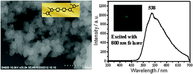 Graphical abstract: Two-photon fluorescent microporous bithiophene polymer via Suzuki cross-coupling