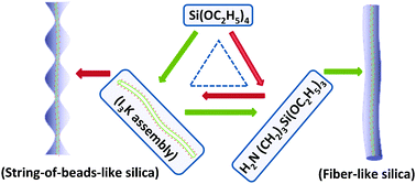 Graphical abstract: Biomimetic synthesis of silica nanostructures with controllable morphologies and sizes through tuning interfacial interactions