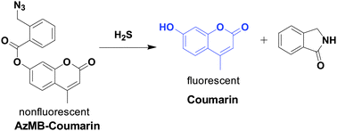 Graphical abstract: Fluorogenic detection of hydrogen sulfide via reductive unmasking of o-azidomethylbenzoyl-coumarin conjugate