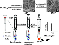 Graphical abstract: Electrospinning-based synthesis of highly ordered mesoporous silica fiber for lab-in-syringe enrichment of plasma peptides