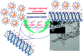 Graphical abstract: High-density assembly of gold nanoparticles with zwitterionic carbon nanotubes and their electrocatalytic activity in oxygen reduction reaction