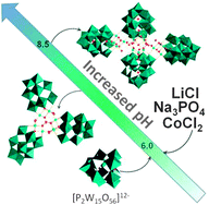 Graphical abstract: Directed assembly of nanoscale Co(ii)-substituted {Co9[P2W15]3} and {Co14[P2W15]4} polyoxometalates
