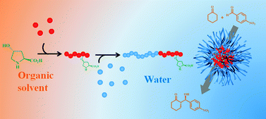 Graphical abstract: Aldol reactions catalyzed by l-proline functionalized polymeric nanoreactors in water