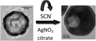 Graphical abstract: Noble metal nanostructure both as a SERS nanotag and an analyte probe
