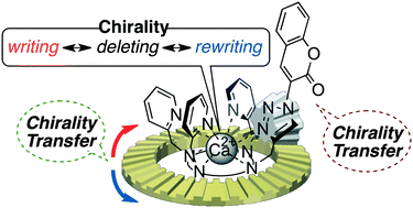 Graphical abstract: A chirality rewriting cycle mediated by a dynamic cyclen–calcium complex