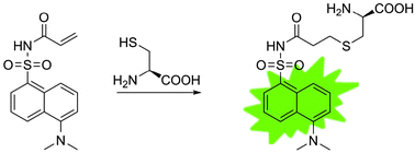 Graphical abstract: A selective fluorescent probe for thiols based on α,β-unsaturated acyl sulfonamide