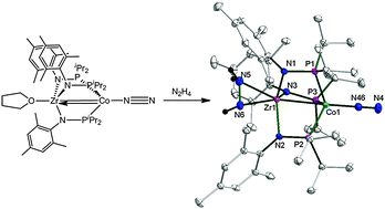 Graphical abstract: N–H activation of hydrazines by a heterobimetallic Zr–Co complex: promotion of one-electron chemistry at Zr