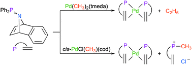 Graphical abstract: Phosphine–alkene ligand-mediated alkyl–alkyl and alkyl–halide elimination processes from palladium(ii)