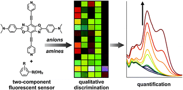 Graphical abstract: Benzobisoxazole fluorophore vicariously senses amines, ureas, anions