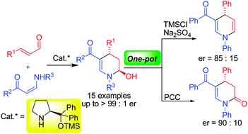 Graphical abstract: Enantioselective organocatalytic domino synthesis of tetrahydropyridin-2-ols