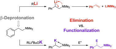 Graphical abstract: Direct benzylic metalation of a phenethylamine derivative: potassium as the key to both generation and stabilization of a “labile anion”