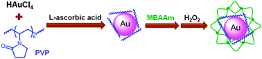 Graphical abstract: One-pot synthesis of responsive catalytic Au@PVP hybrid nanogels