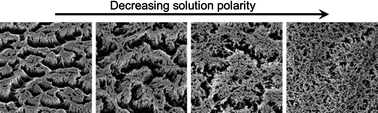 Graphical abstract: Solvent-tuned hierarchical porosity in nitrocellulose aerogels