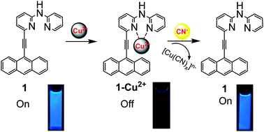 Graphical abstract: Selective, sensitive and reversible “turn-on” fluorescent cyanide probes based on 2,2′-dipyridylaminoanthracene–Cu2+ ensembles