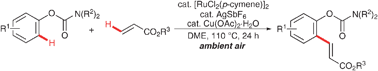 Graphical abstract: Ruthenium-catalyzed oxidative C–H alkenylation of aryl carbamates