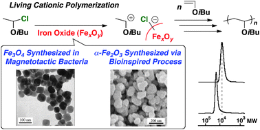Graphical abstract: Biologically synthesized or bioinspired process-derived iron oxides as catalysts for living cationic polymerization of a vinyl ether
