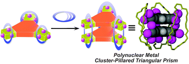 Graphical abstract: Designed synthesis of a metal cluster-pillared coordination cage