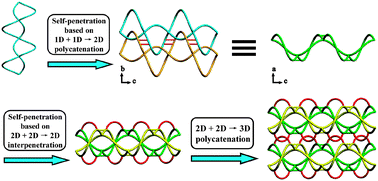 Graphical abstract: Unprecedented three-level hierarchical entanglement in a coordination polymer