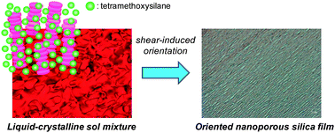 Graphical abstract: Facile preparation of oriented nanoporous silica films from solvent-free liquid-crystalline mixtures