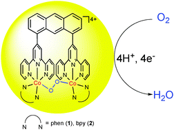 Graphical abstract: Four-electron reduction of dioxygen catalysed by dinuclear cobalt complexes bridged by bis(terpyridyl)anthracene