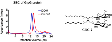 Graphical abstract: Glucose-Neopentyl Glycol (GNG) amphiphiles for membrane protein study