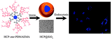 Graphical abstract: Highly fluorescent core–shell hybrid nanoparticles templated by a unimolecular star conjugated polymer for a biological tool