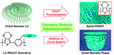 Graphical abstract: Electrochromism-driven linearly and circularly polarised dichroism of poly(3,4-ethylenedioxythiophene) derivatives with chirality and liquid crystallinity
