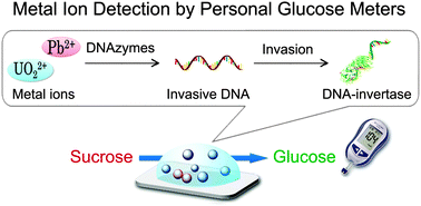 Graphical abstract: An invasive DNA approach toward a general method for portable quantification of metal ions using a personal glucose meter
