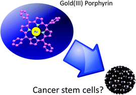 Graphical abstract: A gold(iii) porphyrin complex as an anti-cancer candidate to inhibit growth of cancer-stem cells