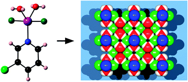 Graphical abstract: Antiferromagnetic ordering through a hydrogen-bonded network in the molecular solid CuF2(H2O)2(3-chloropyridine)