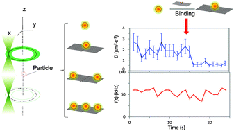 Graphical abstract: Quantum dot-DNA origami binding: a single particle, 3D, real-time tracking study
