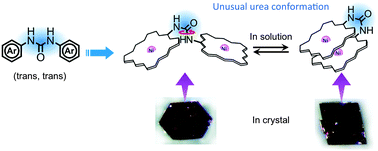 Graphical abstract: Unusual conformational preference of an aromatic secondary urea: solvent-dependent open-closed conformational switching of N,N′-bis(porphyrinyl)urea