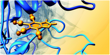 Graphical abstract: Plugging the explicit σ-holes in molecular docking
