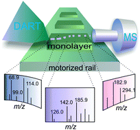 Graphical abstract: Ambient mass spectrometry of covalently bound organic monolayers