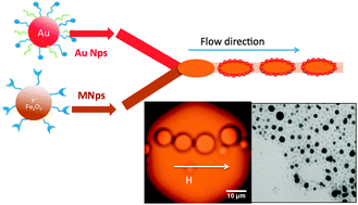 Graphical abstract: Assembling magneto-plasmonic microcapsules using a microfluidic device