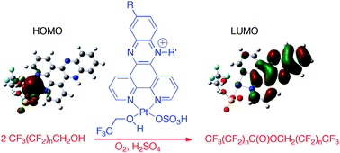 Graphical abstract: Platinum complexes of cationic ligands for the aerobic oxidation of “inert” perfluoro-substituted alcohols