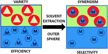 Graphical abstract: Exploiting outer-sphere interactions to enhance metal recovery by solvent extraction